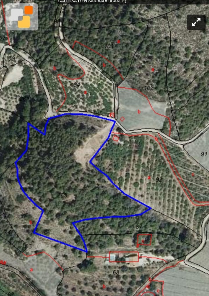 Finca moderne avec piscine privée à Callosa de Ensarriá