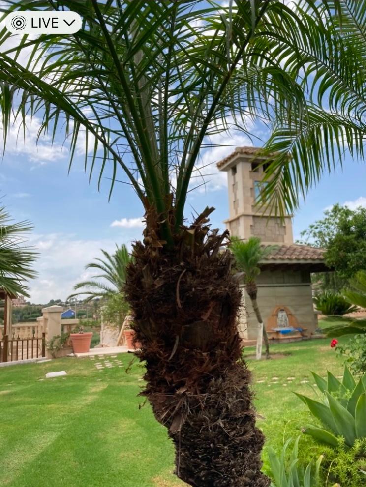 Fabulosa Villa con 8 Dormitorios a 20 Minutos de la Playa