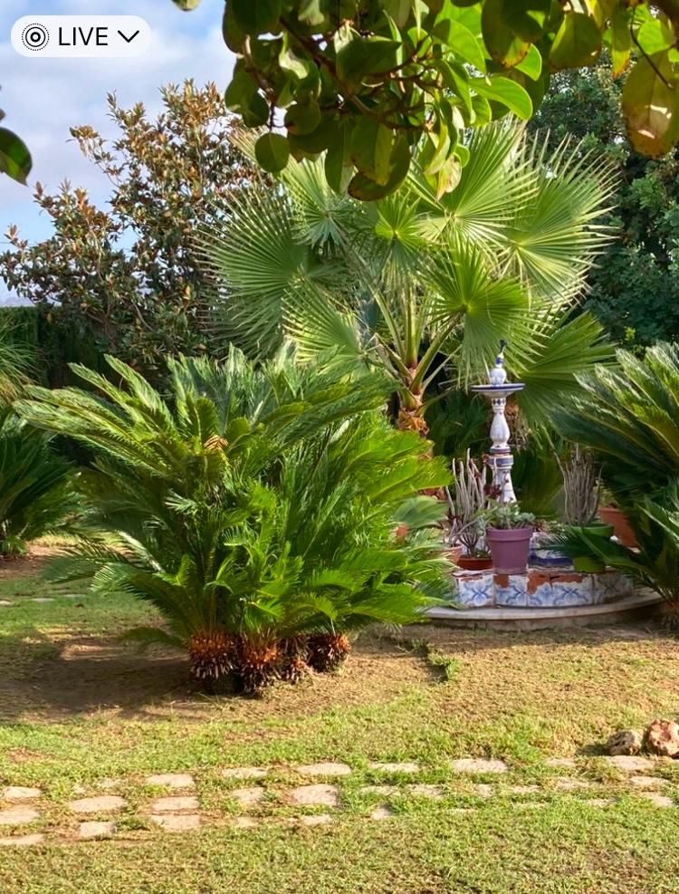 Fabulosa Villa con 8 Dormitorios a 20 Minutos de la Playa