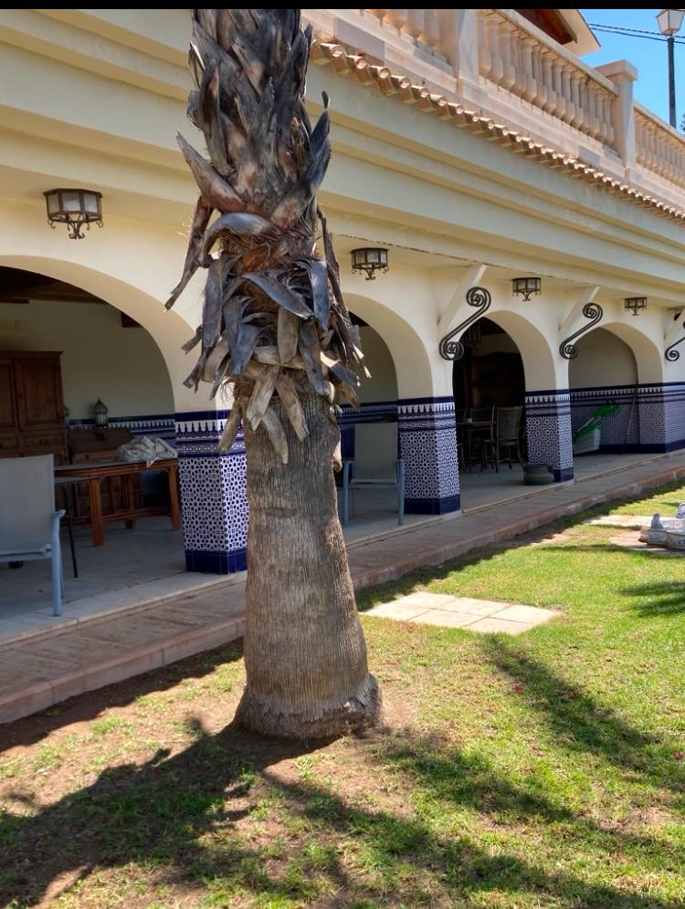 Fabulosa Villa con 8 Dormitorios a 20 Minutos de la Playa
