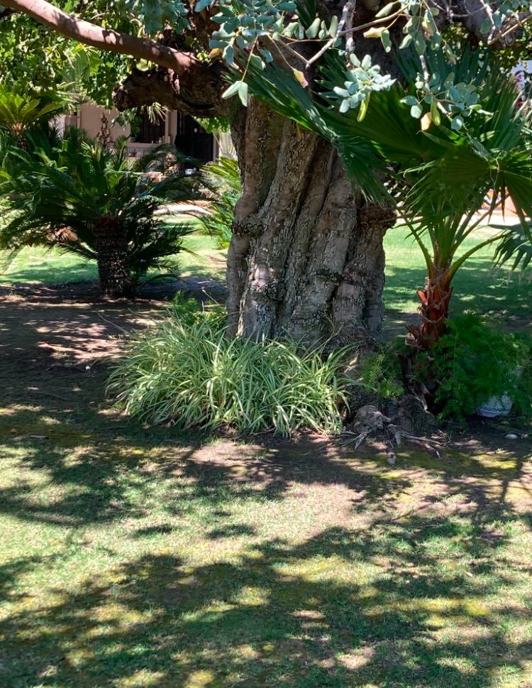 Fabulosa Villa con 8 Dormitorios a 20 Minutos de la Playa