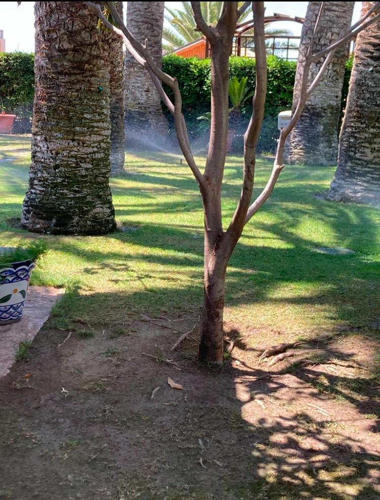 Fabulosa Villa con 8 Dormitorios a 20 Minutos de la Playa