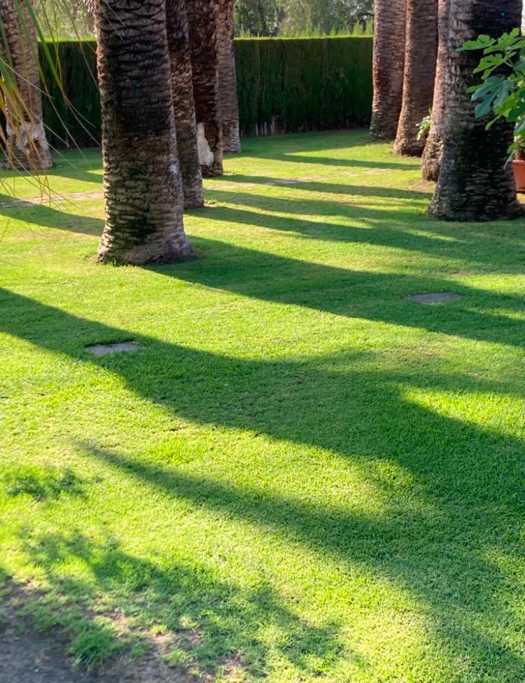 Fabulosa Villa con 8 Dormitorios a 20 Minutos de la Playa