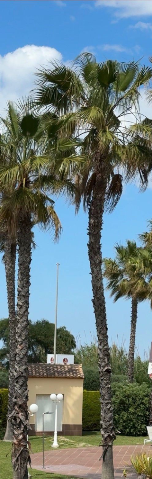 Exclusive property in Oliva Nova – Beach, golf, and quality of life.