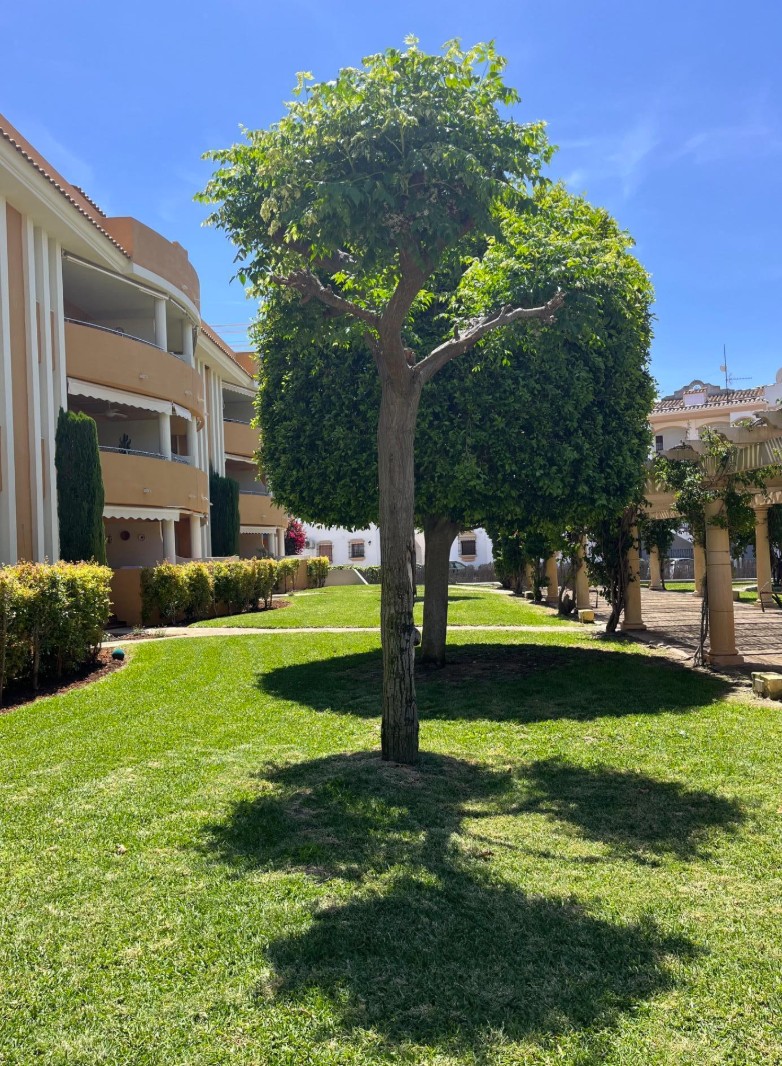 Fantástico apartamento en Denia a 350 m de la playa .