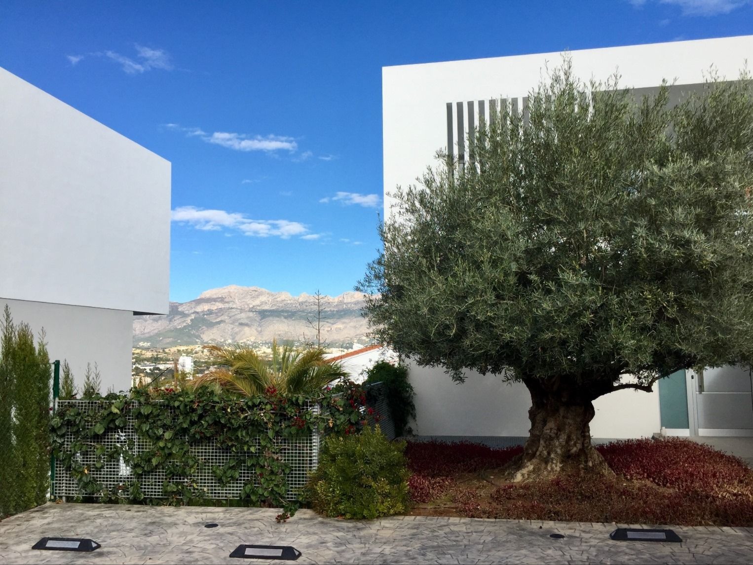 ALBIR31072026 - Luxury Villa in Albir - Long-term Rental