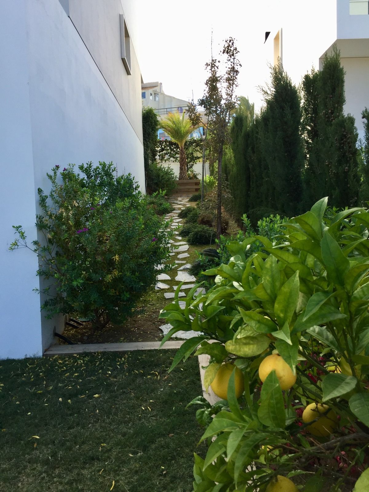 Luxury Villa in Albir - Long-term Rental